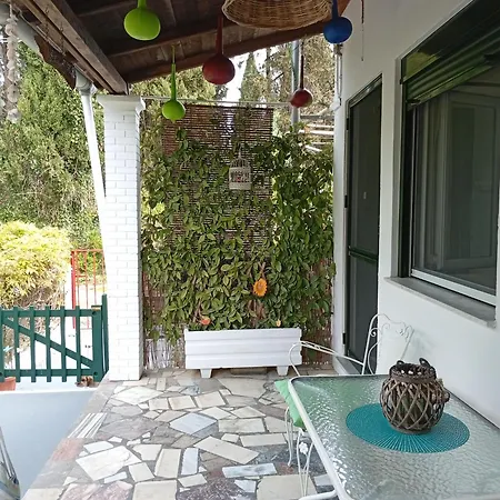 Maria's House